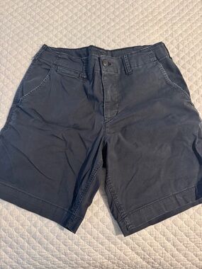 American Eagle Outfitters Navy Flat Front Men's Shorts